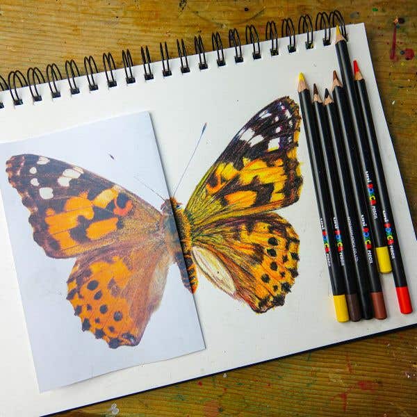 Posca Colour Pencil Set