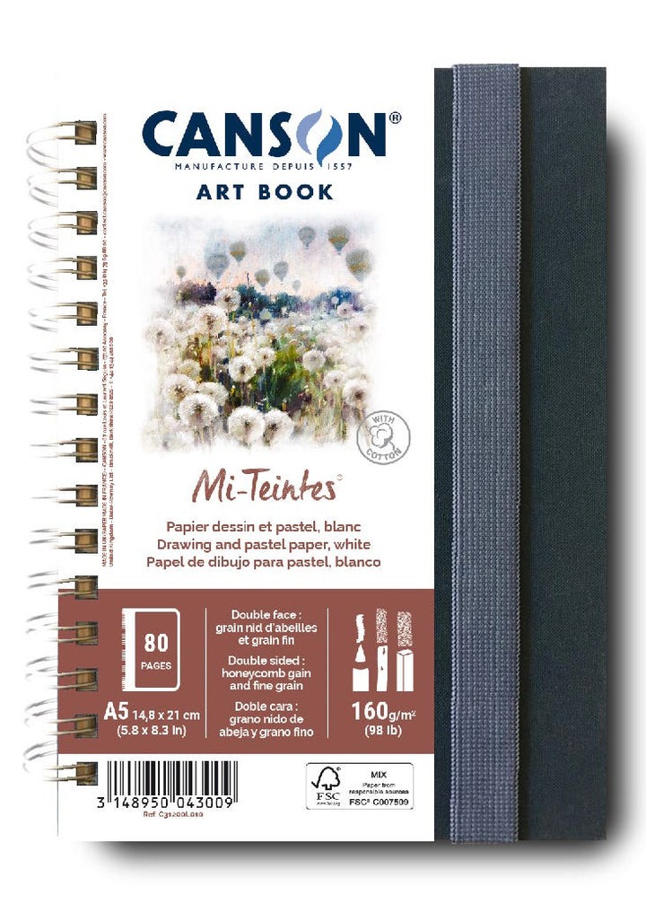 Canson Mi-Teintes Art Book