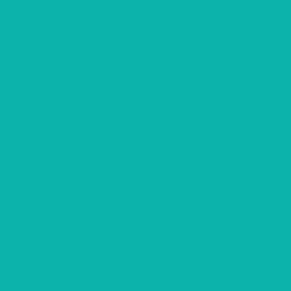 STAEDTLER Pigment Arts Calligraphy Pens
