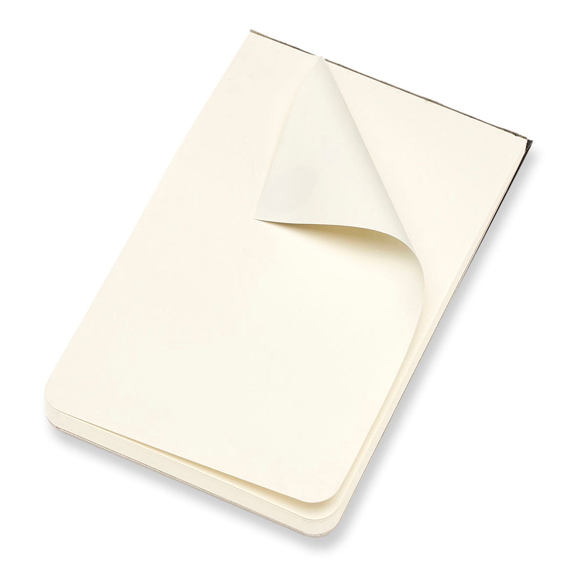 Moleskine Art Sketch Pads