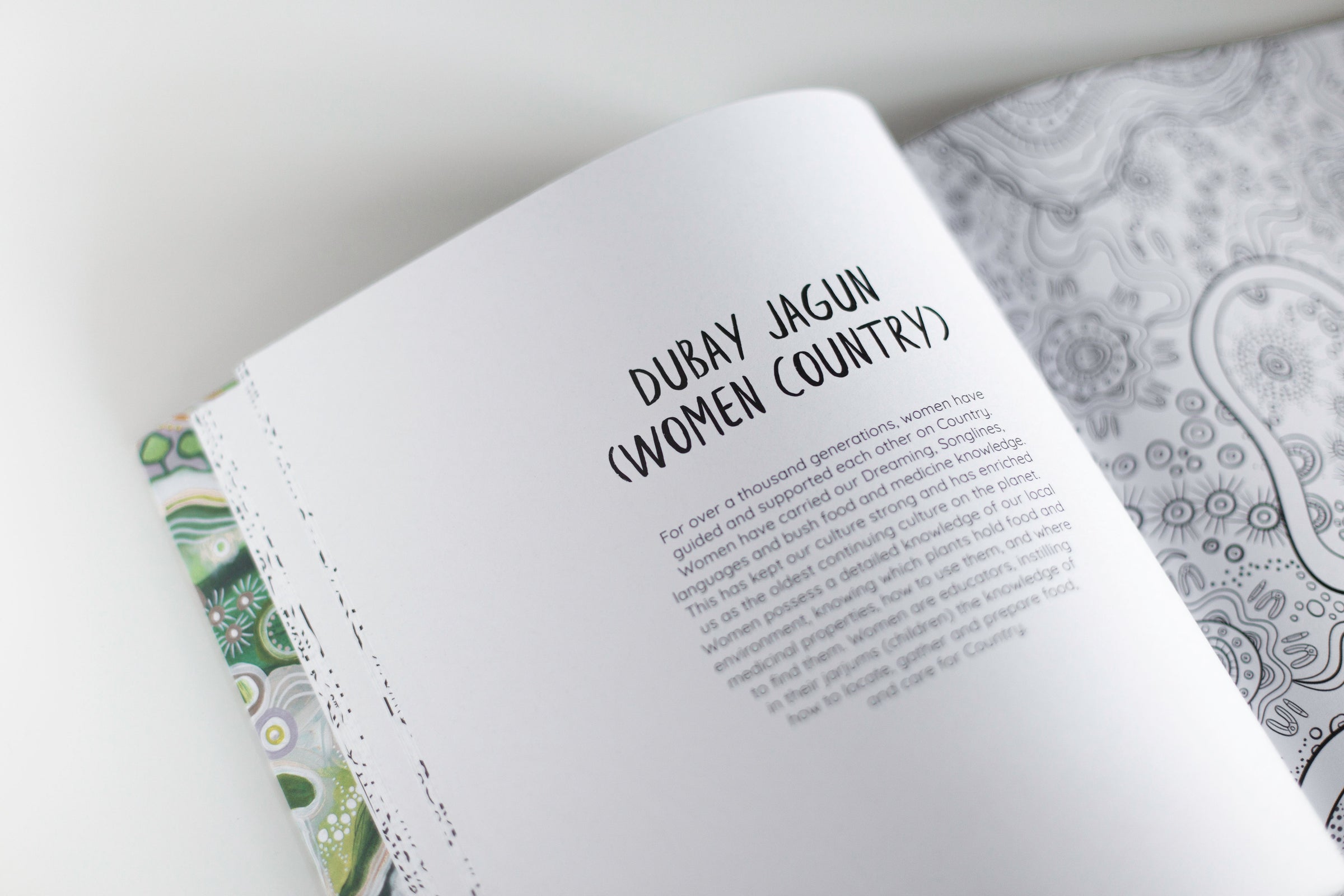Jagun A First Nations Colouring Book
