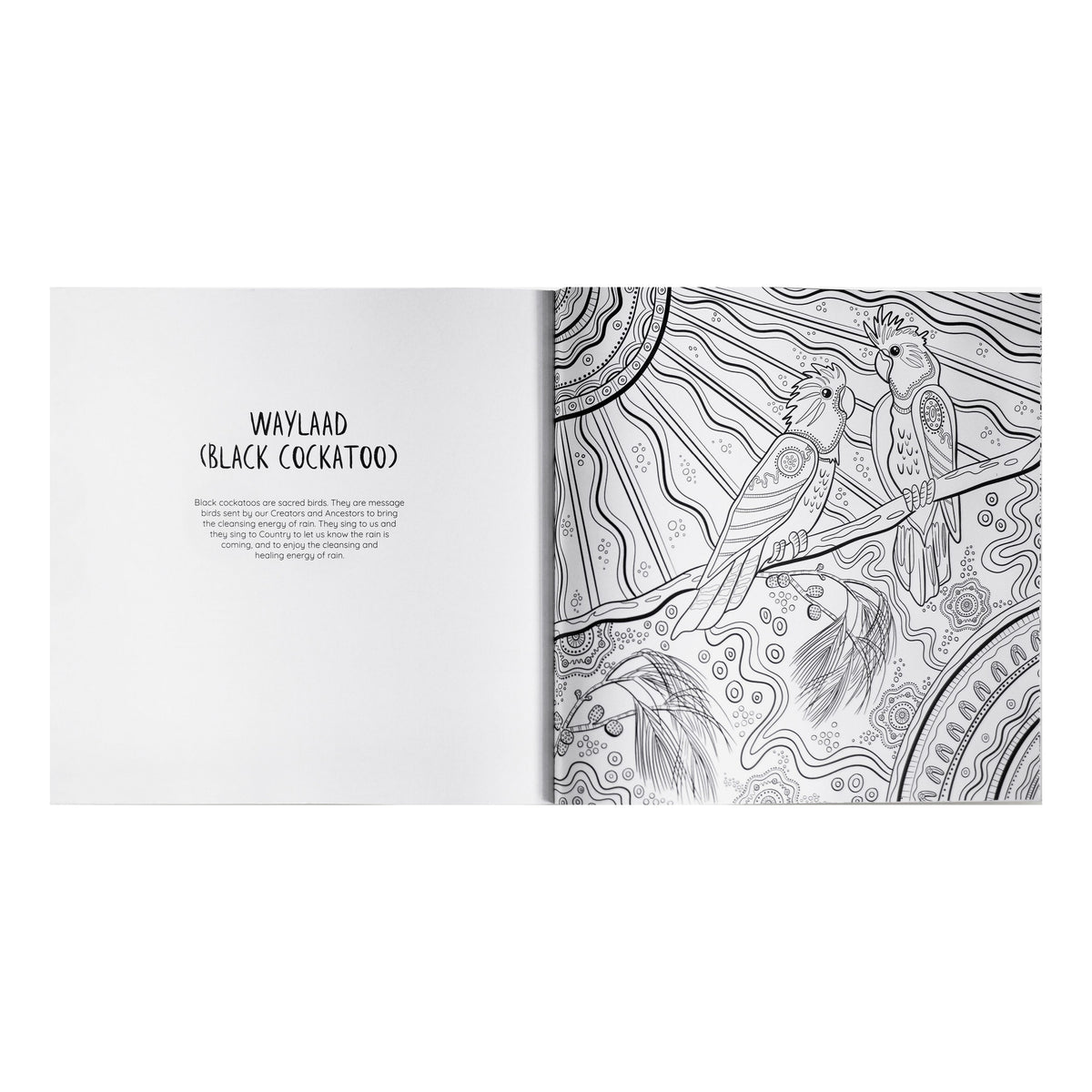 Jagun A First Nations Colouring Book
