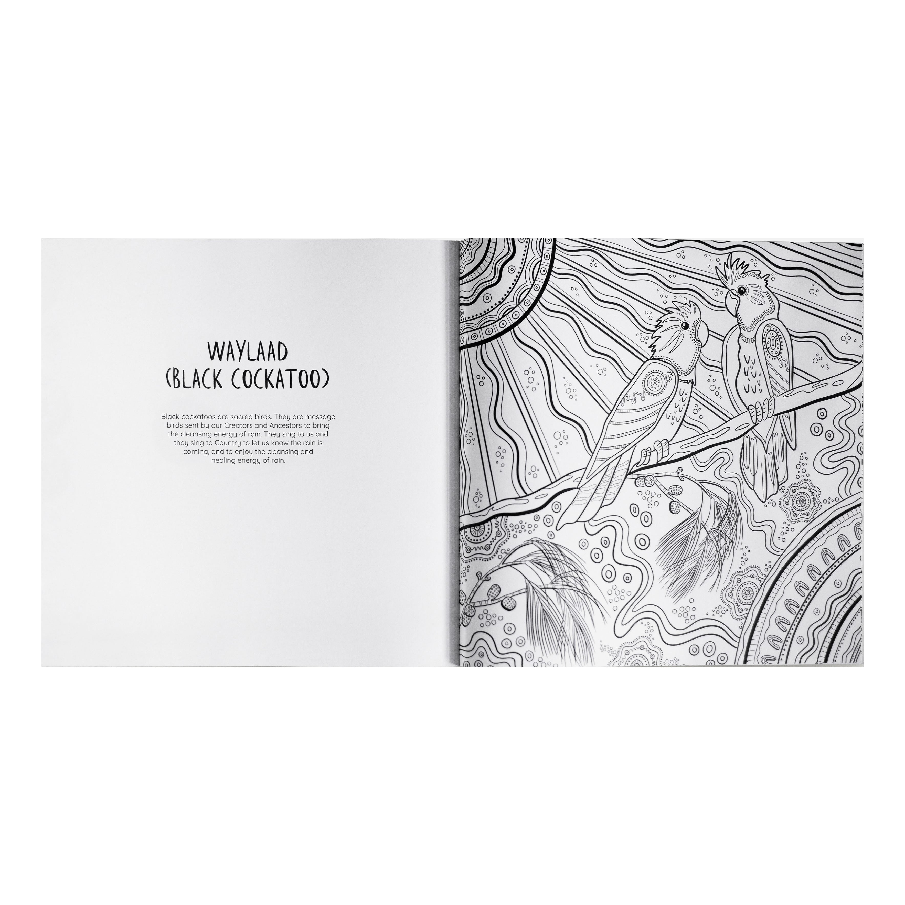 Jagun A First Nations Colouring Book