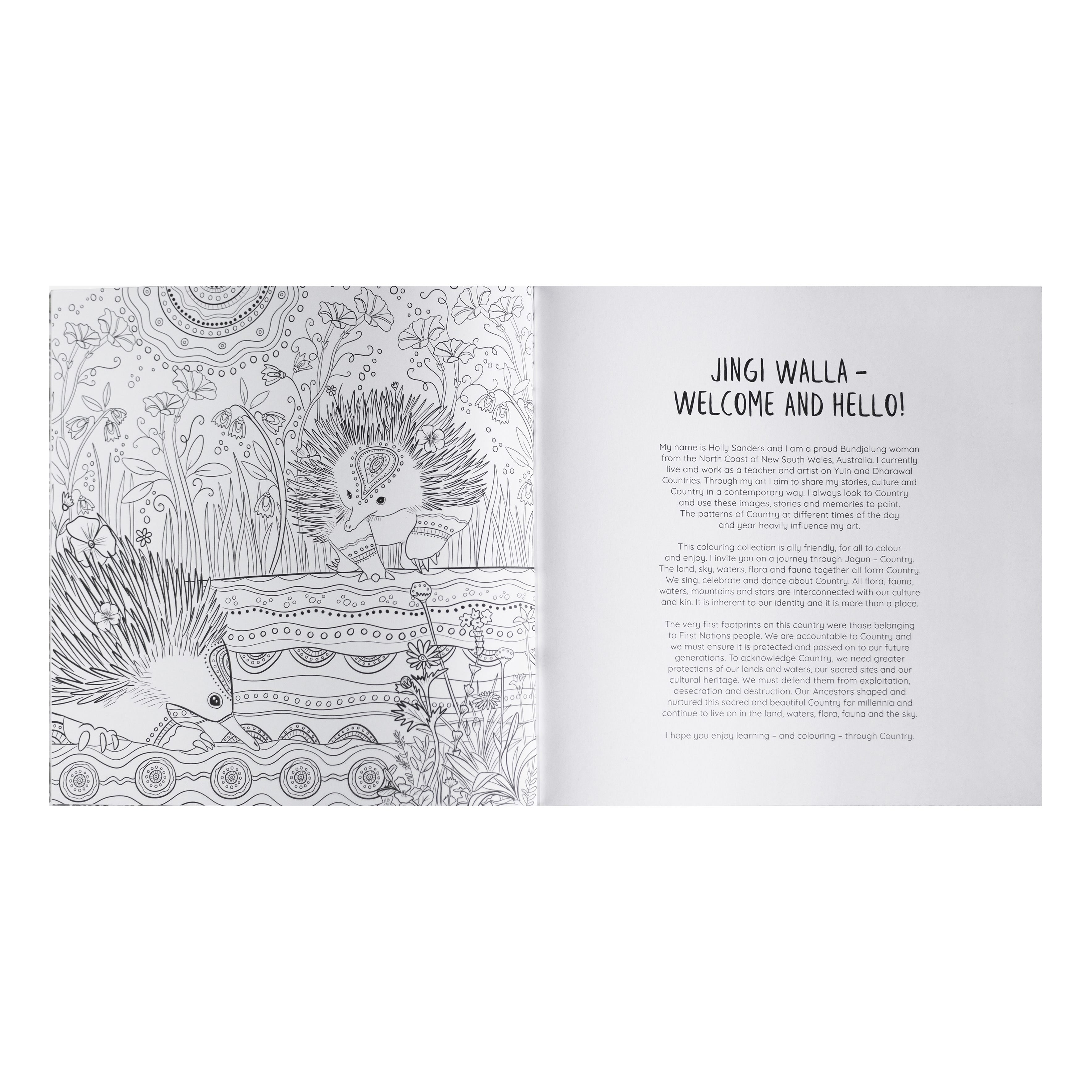 Jagun A First Nations Colouring Book