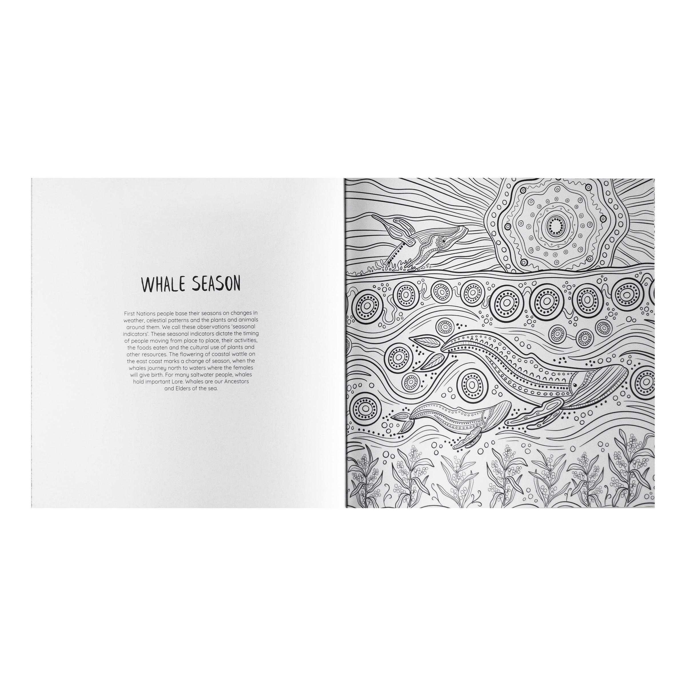 Jagun A First Nations Colouring Book
