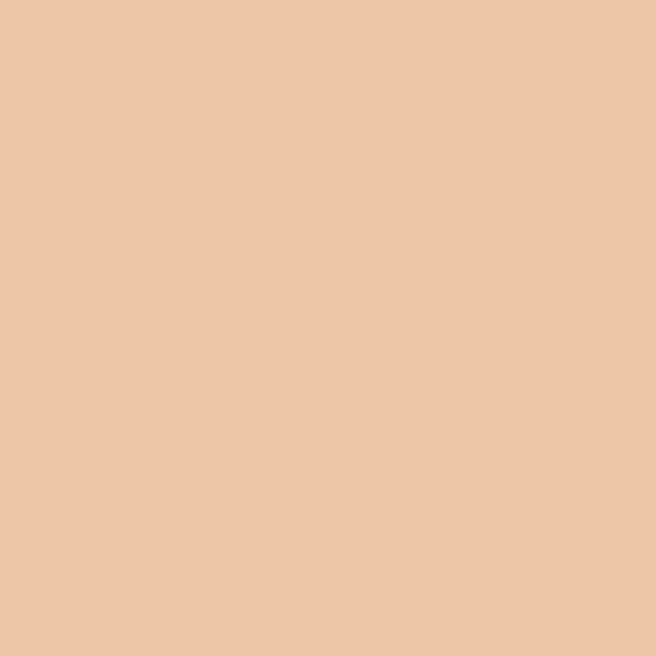 Faber-Castell Pitt Artist Dual Tip Marker