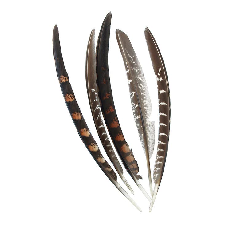 Value Craft Feathers Pheasant Quill Natural 5 Pieces