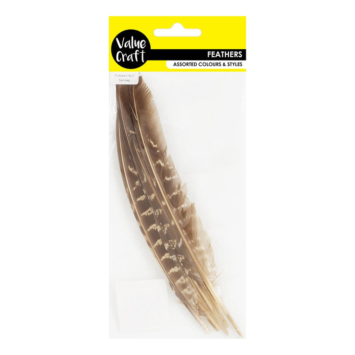 Value Craft Feathers Pheasant Quill Natural 5 Pieces