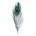 Value Craft Feathers Peacock Eyes 2 Pieces