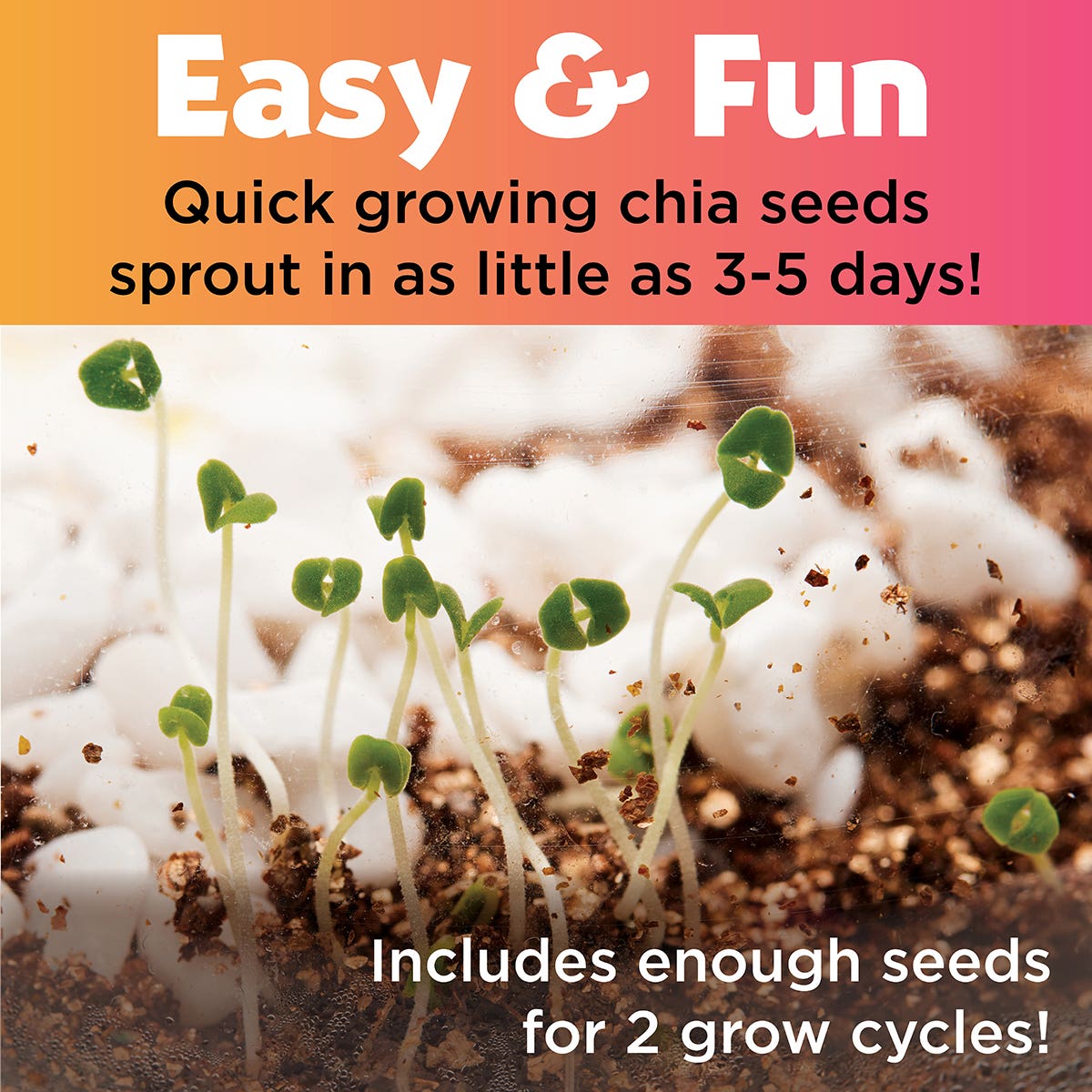 Faber-Castell Creativity for Kids Unicorn Forrest Plant & Grow Terrarium Kit