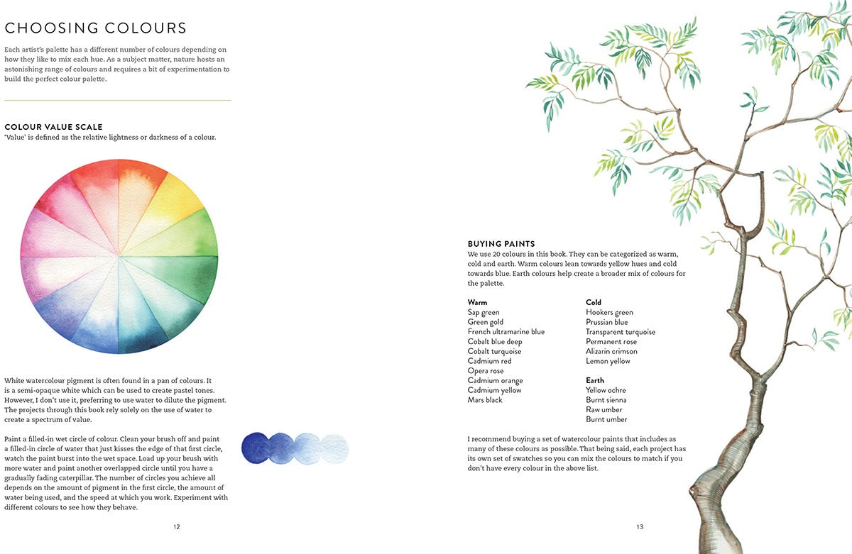Birds Bees & Blossoms Book