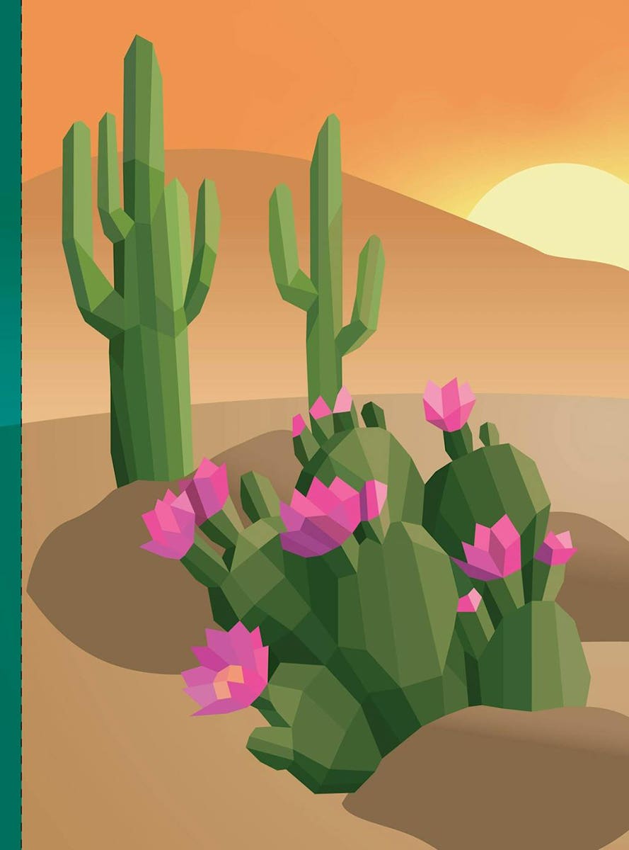 Paint By Sticker: Plants And Flowers Book