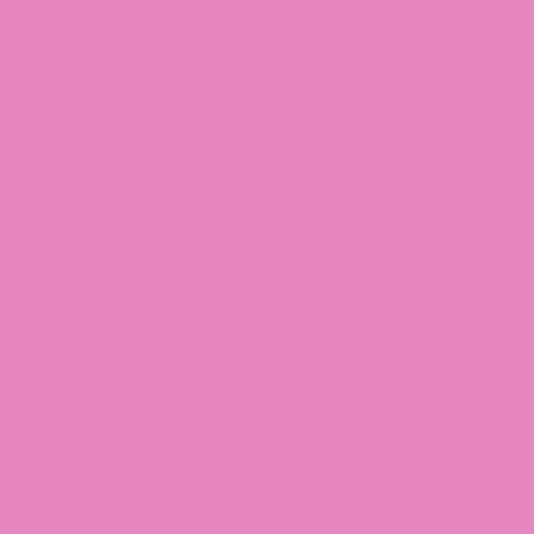 Posca Markers Medium Brush (PC-5BR)