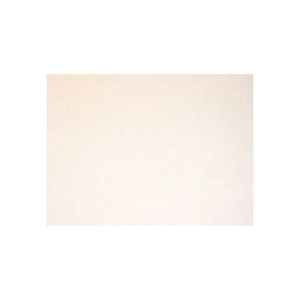 Blotting Paper