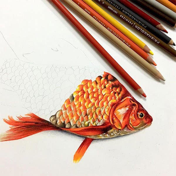 Prismacolor Premier Coloured Pencil Sets