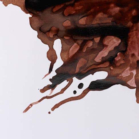 Winsor & Newton Drawing Inks 14ml