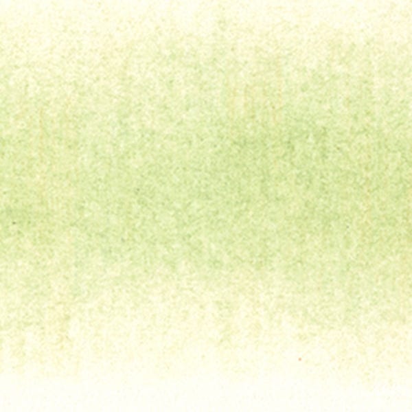 Derwent Procolour Pencils