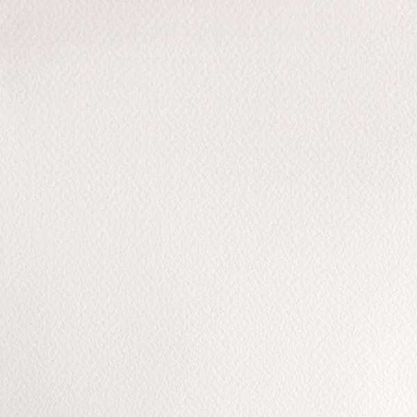 Winsor & Newton Professional Watercolour Paint Half Pans
