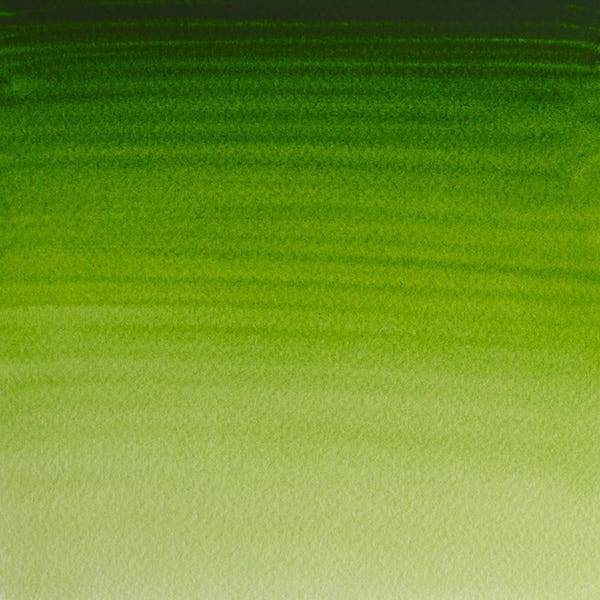 Winsor & Newton Professional Watercolour Paint Half Pans