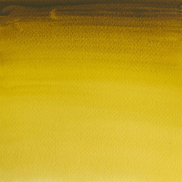 Winsor & Newton Professional Watercolour Paint Half Pans