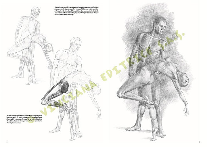 Leonardo Collection: 10 Nudes Structure of the Human Body