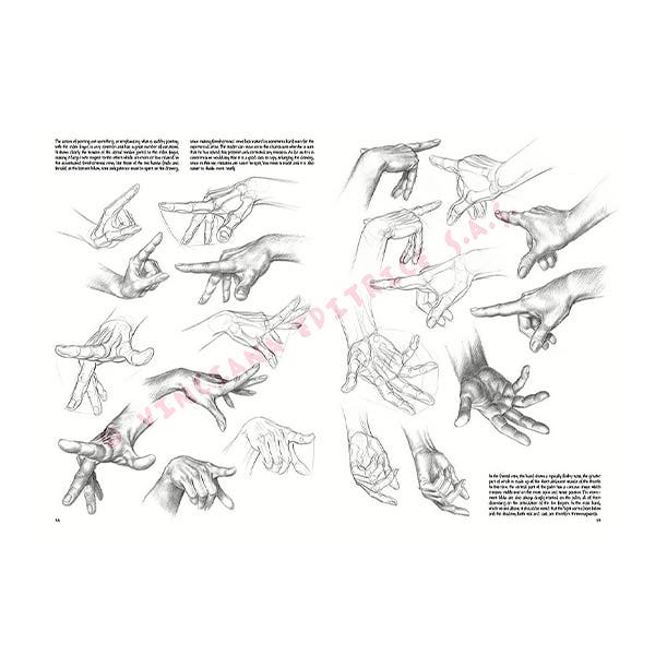 Leonardo Collection: 03 Fundamentals of Drawing Book