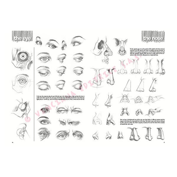 Leonardo Collection: 03 Fundamentals of Drawing Book