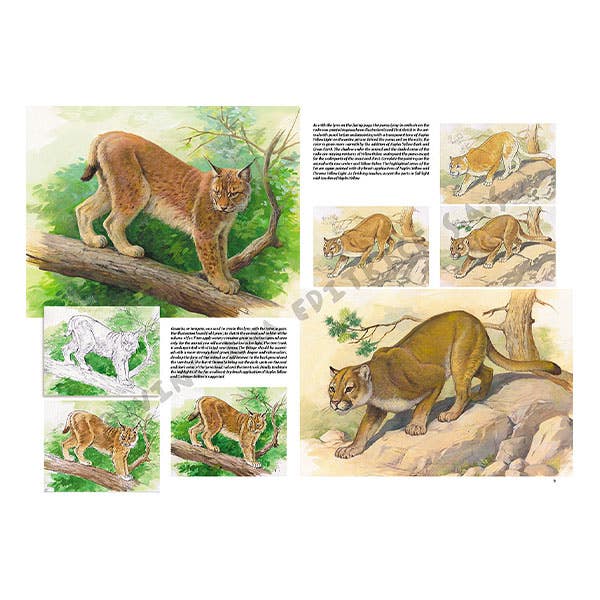 Leonardo Collection: 12 Animals Book