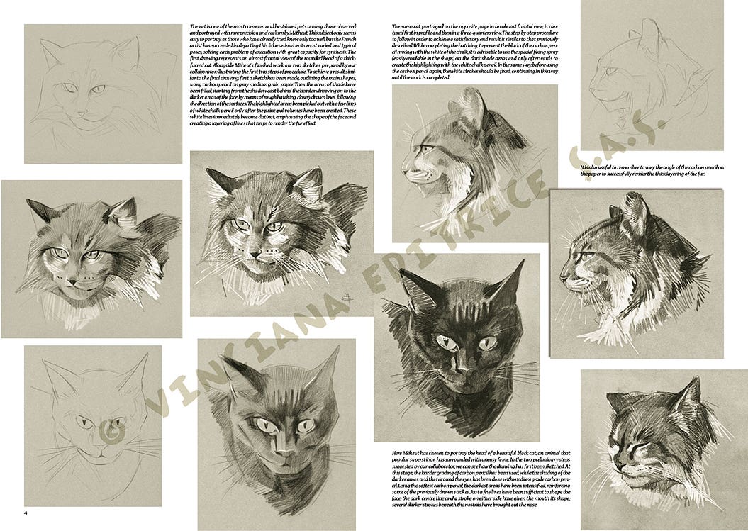 Leonardo Collection: 36 The Animals of M Meheut Book