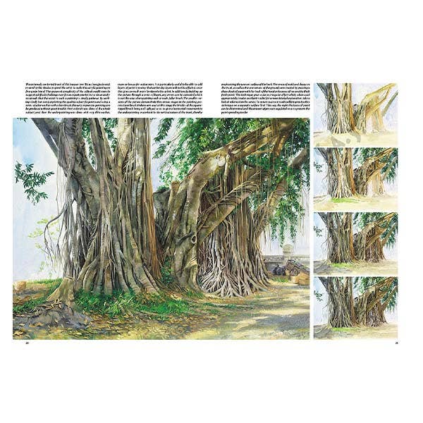 Leonardo Collection: 45 Trees and Leaves Book