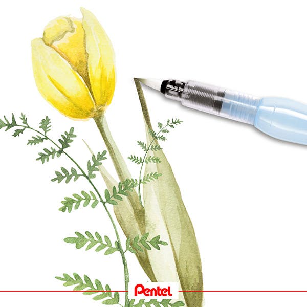 Pentel Aquash Brushes