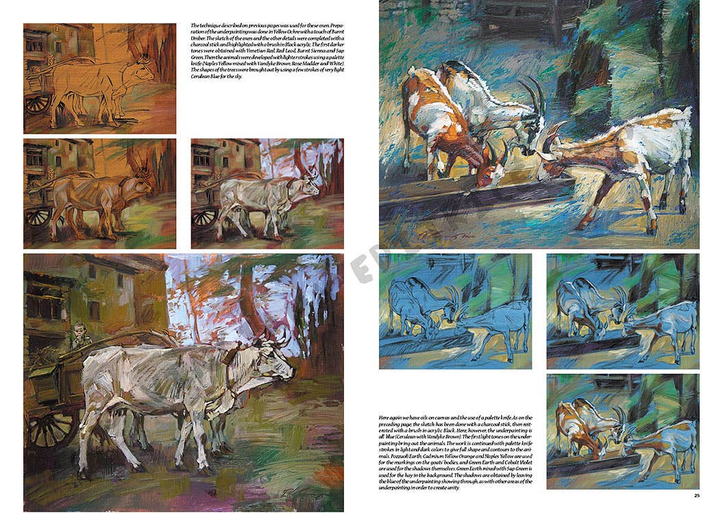 Leonardo Collection: 13 Animals Book