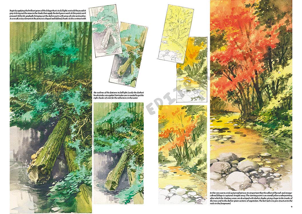 Leonardo Collection: 15 Landscapes Book