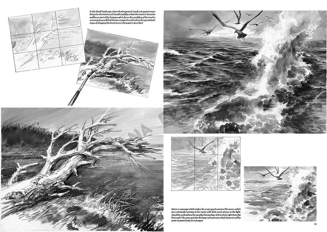 Leonardo Collection: 15 Landscapes Book