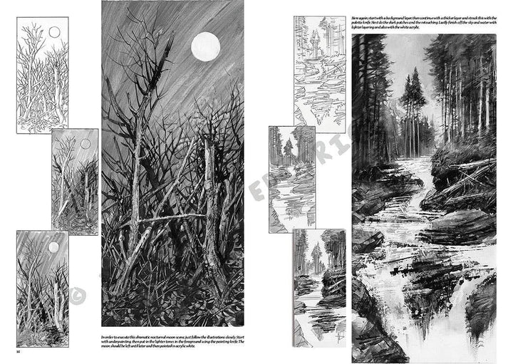 Leonardo Collection: 16 Lanscapes Book