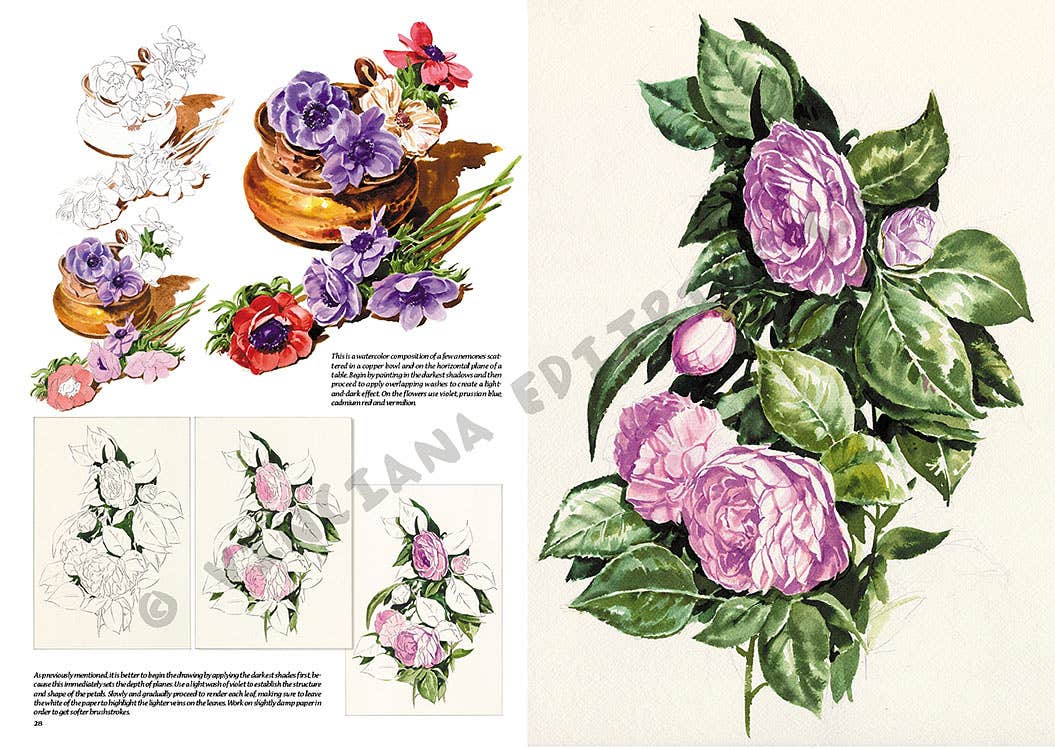 Leonardo Collection: 20 Flowers Books