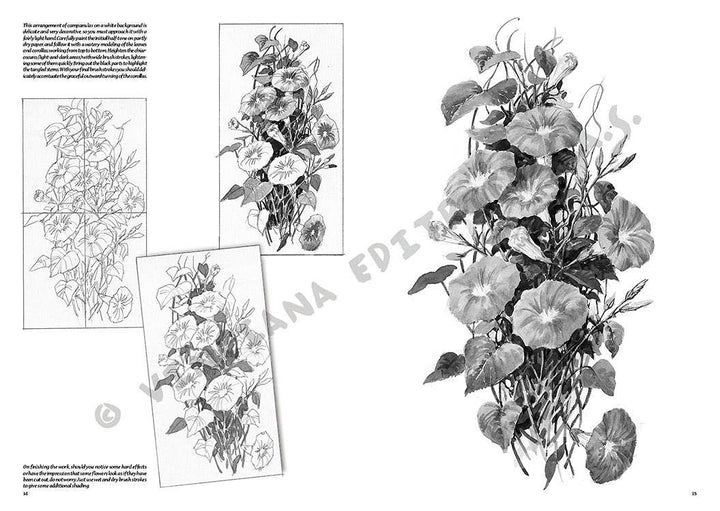 Leonardo Collection: 20 Flowers Books