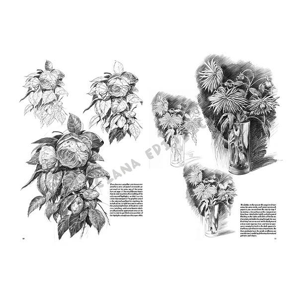 Leonardo Collection: 22 Flowers Book