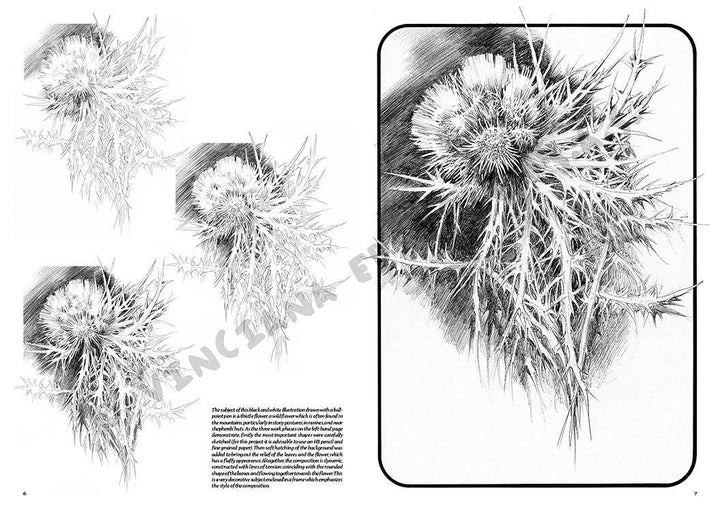Leonardo Collection: 23 Flowers Books
