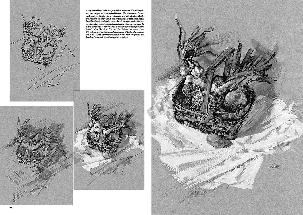 Leonardo Collection: 24 Still Life Book