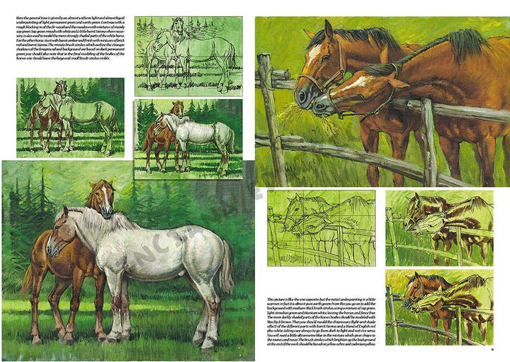 Leonardo Collection: 06 Horse Book