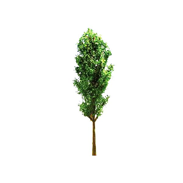 Scale Model Trees