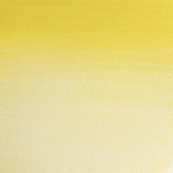 Winsor & Newton Professional Watercolour Paint Half Pans
