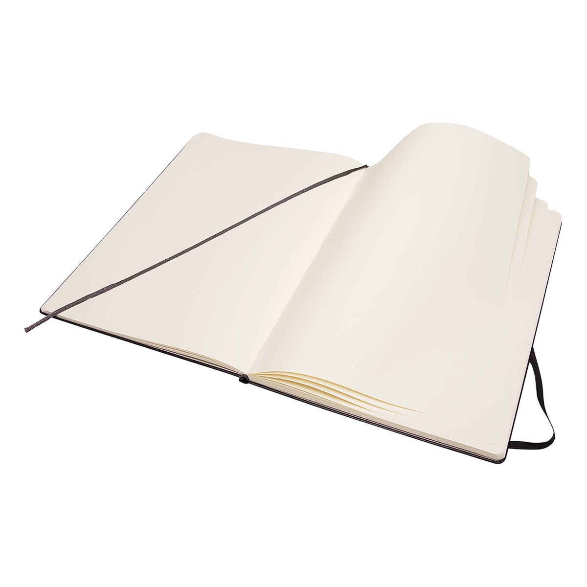 Moleskine Hard Cover Folio Sketchbook