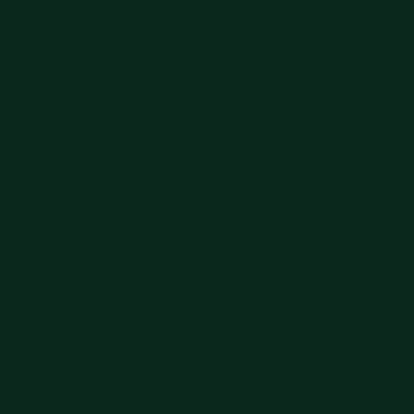 Pebeo Porcelaine 150 Decorative Paints 45ml