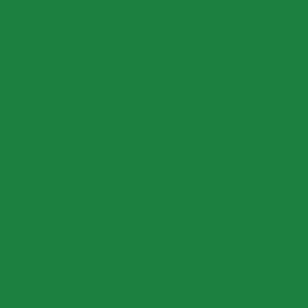 Permacrylik Acrylic Paints 1 Litre