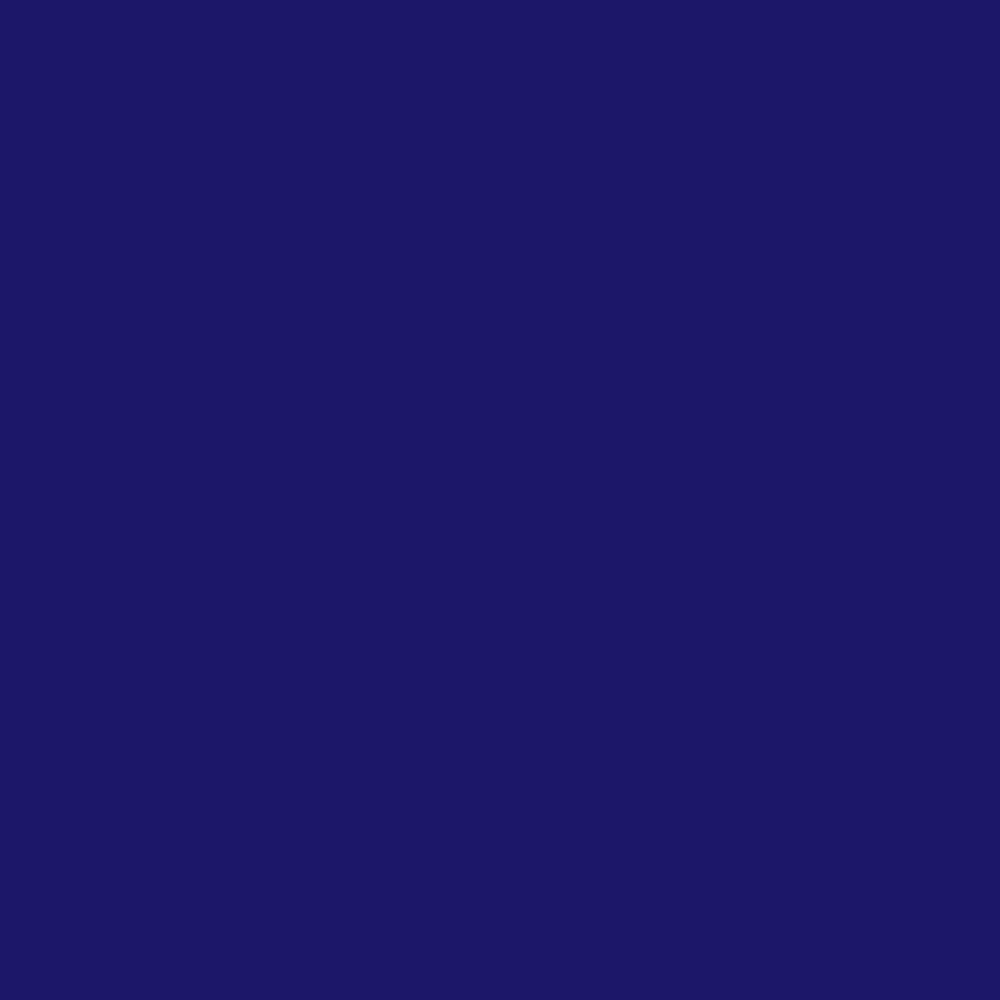 Jacquard Neopaque Paints 70ml