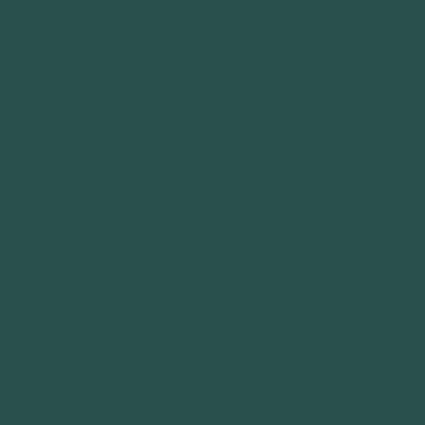 Lefranc & Bourgeois Flashe Vinyl Paints 125ml