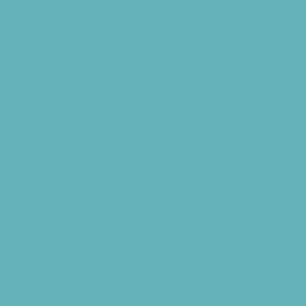 Reeves Fine Artist Oil Paints 50ml