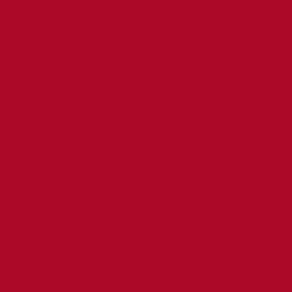 Reeves Fine Artist Oil Paints 50ml